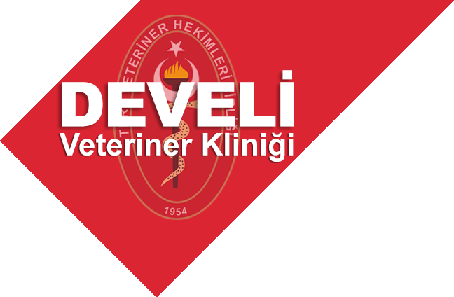 develi veteriner kliniği