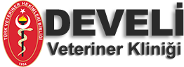 develi veteriner kliniği